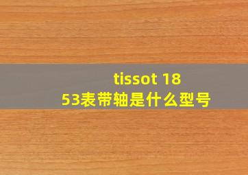 tissot 1853表带轴是什么型号